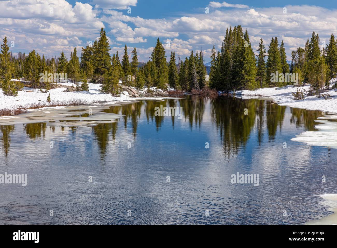 Beartooth Creek vu depuis la Beartooth Highway au printemps, Shoshone National Forest, Wyoming Banque D'Images