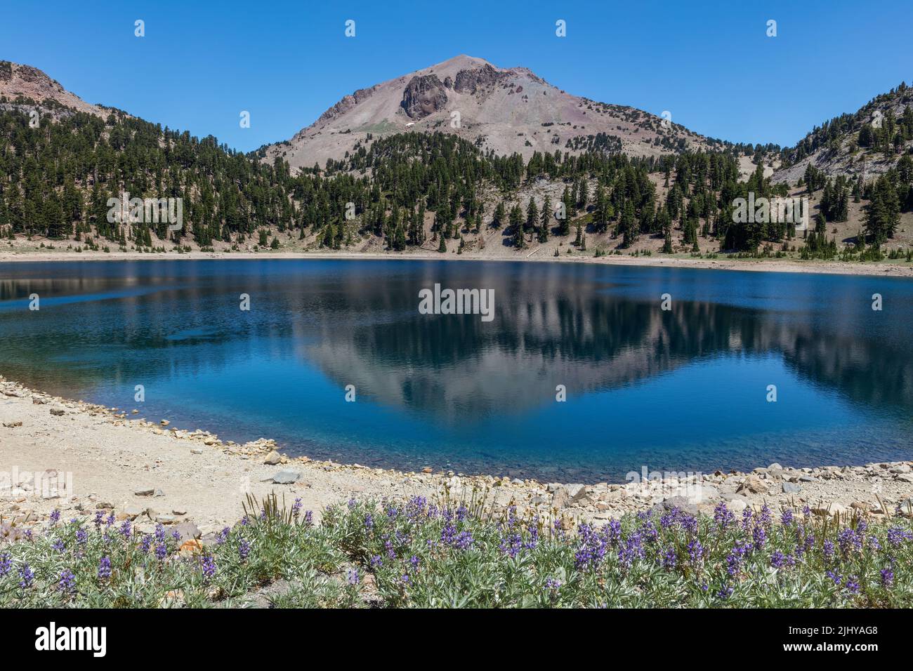 Lassen Peak se reflète dans le lac Helen en été, parc national volcanique de Lassen, Californie Banque D'Images