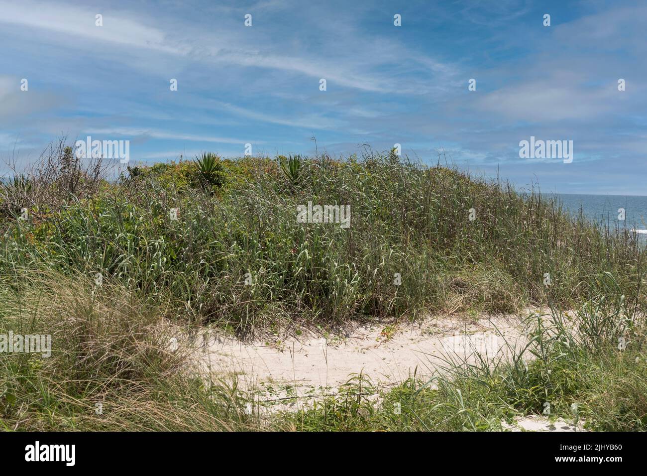 Une dune de sable recouverte d'herbe sur la plage d'Emerald Isle, en Caroline du Nord Banque D'Images Une dune de sable recouverte d'herbe sur la plage d'Emerald Isle, en Caroline du Nord Banque D'Images