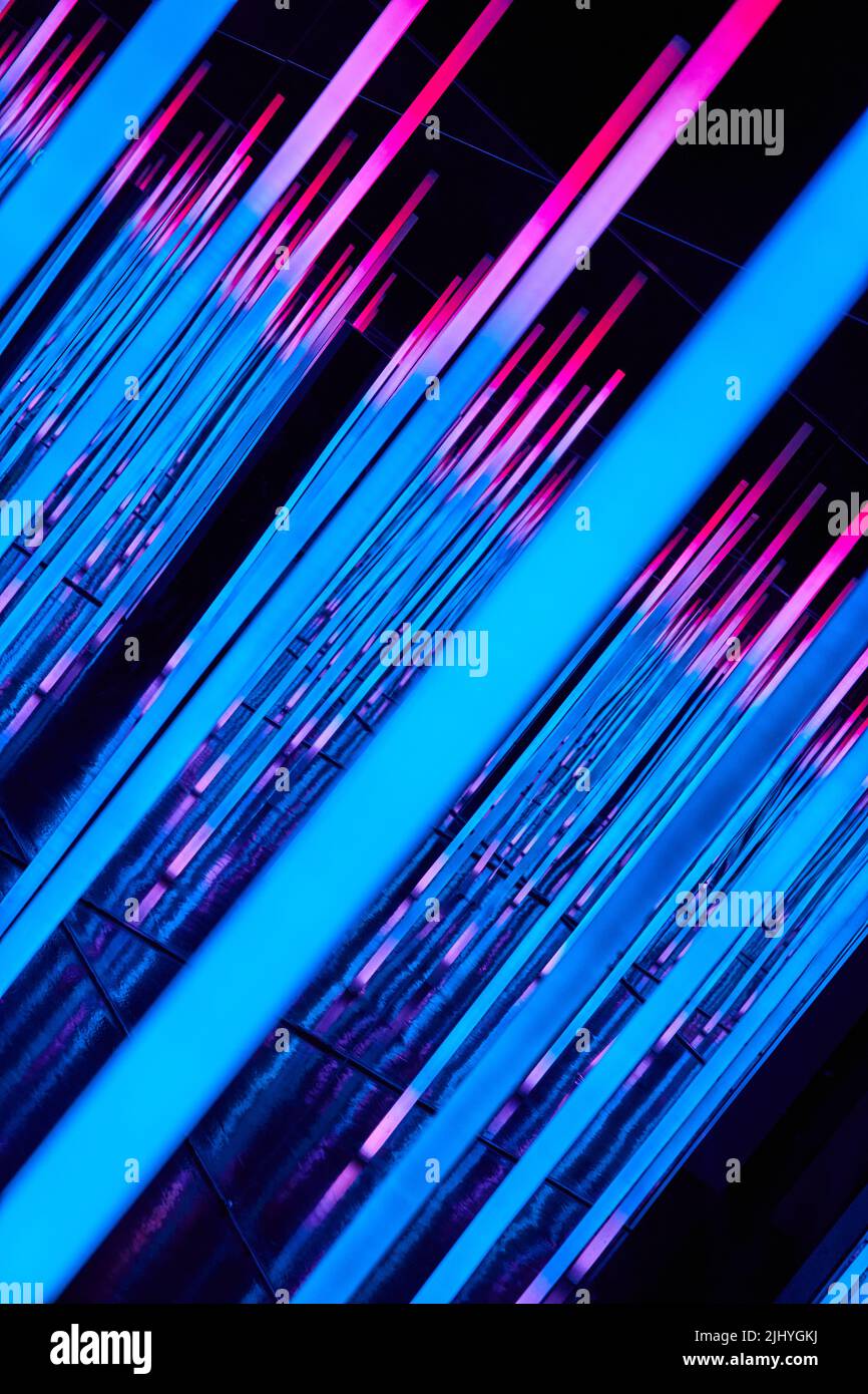 Néons abstraits de bleu et de rose Banque D'Images