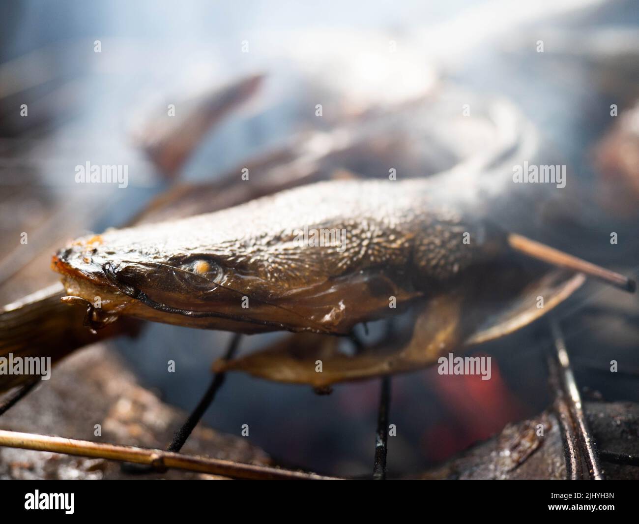 Photo de poisson-chat qui sur un processus de tabagisme qui rendent le goût plus délicieux Banque D'Images