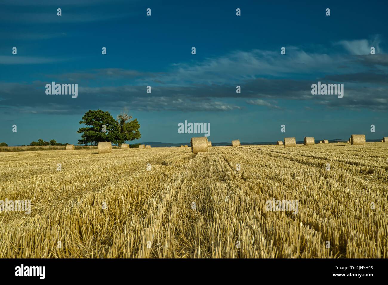 balle ronde Banque D'Images