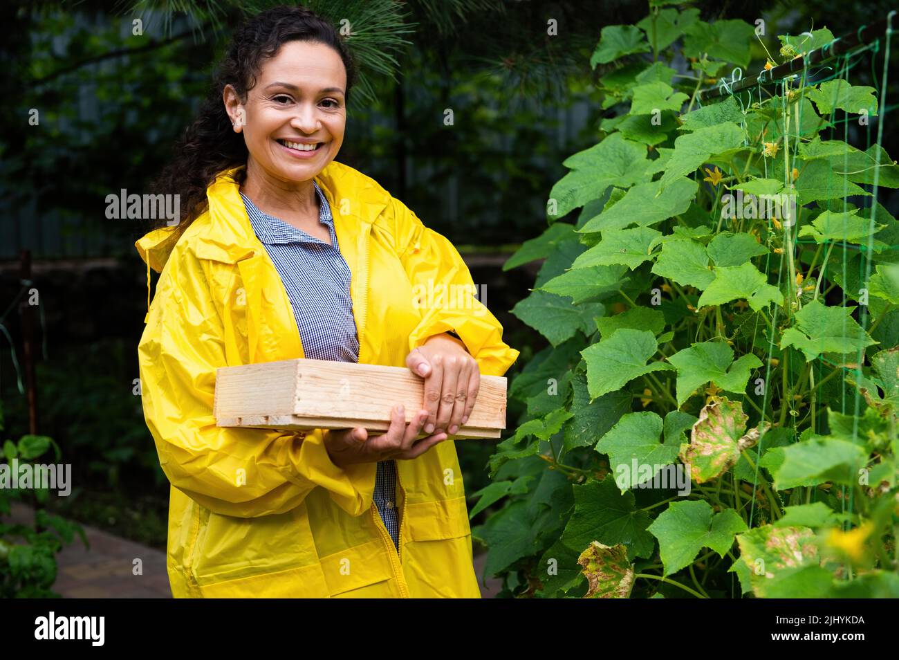 Femme africaine prospère en imperméable jaune, propriétaire de l'agroalimentaire, portant une caisse en bois, sourires mignons regardant l'appareil photo Banque D'Images