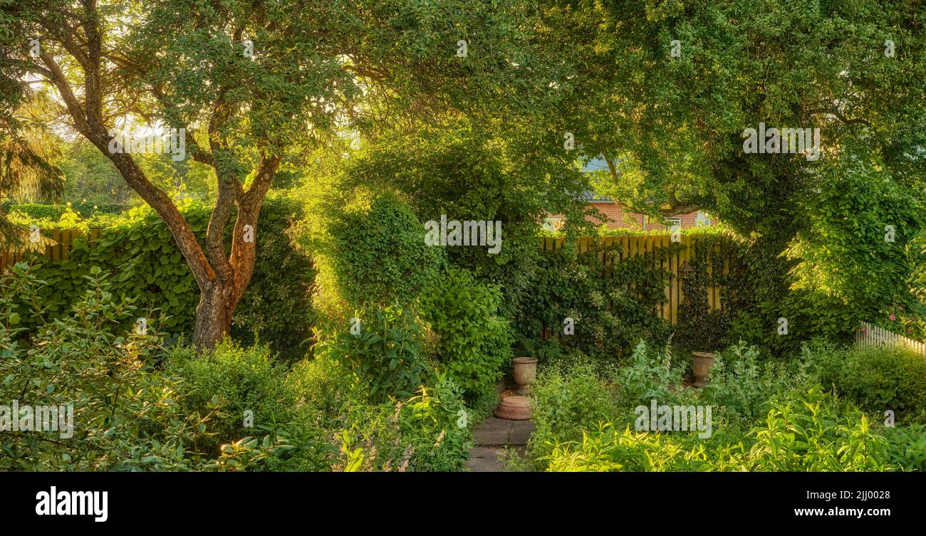 Jardin plein de vie avec diverses plantes et un espace de copie. Jardin verdoyant avec buissons verts fleuris et grands arbres. Différentes herbes et sauvages Banque D'Images