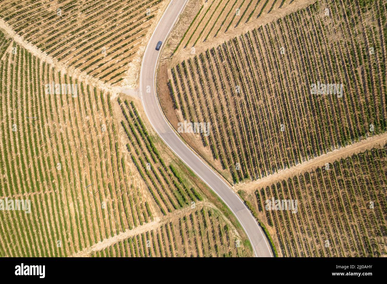 Vue d'ensemble aérienne de la route romantique des Langhe et Roero parmi les paysages sans fin des vignobles. Piémont Italie Banque D'Images Vue d'ensemble aérienne de la route romantique des Langhe et Roero parmi les paysages sans fin des vignobles. Piémont Italie Banque D'Images