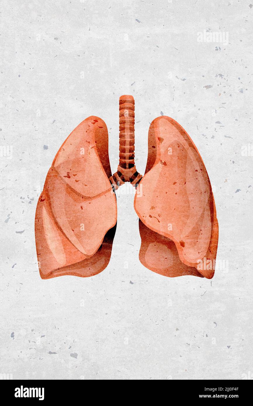 Symboles et icônes modernes et stylisés d'organes pulmonaires monotones humains - partie d'un ensemble Banque D'Images