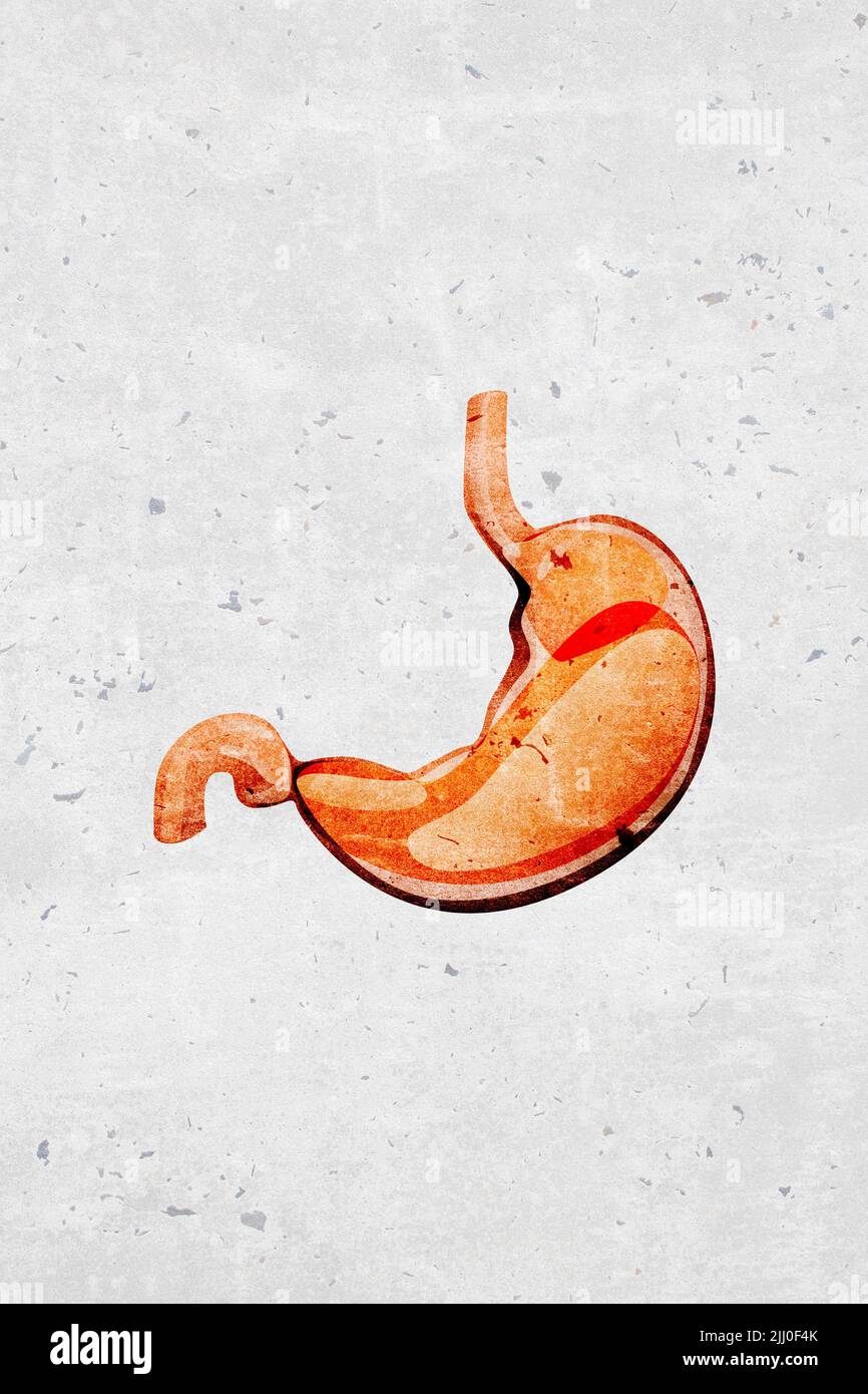 Symboles et icônes modernes et stylisés monotone d'organe de l'estomac humain - partie d'un ensemble Banque D'Images