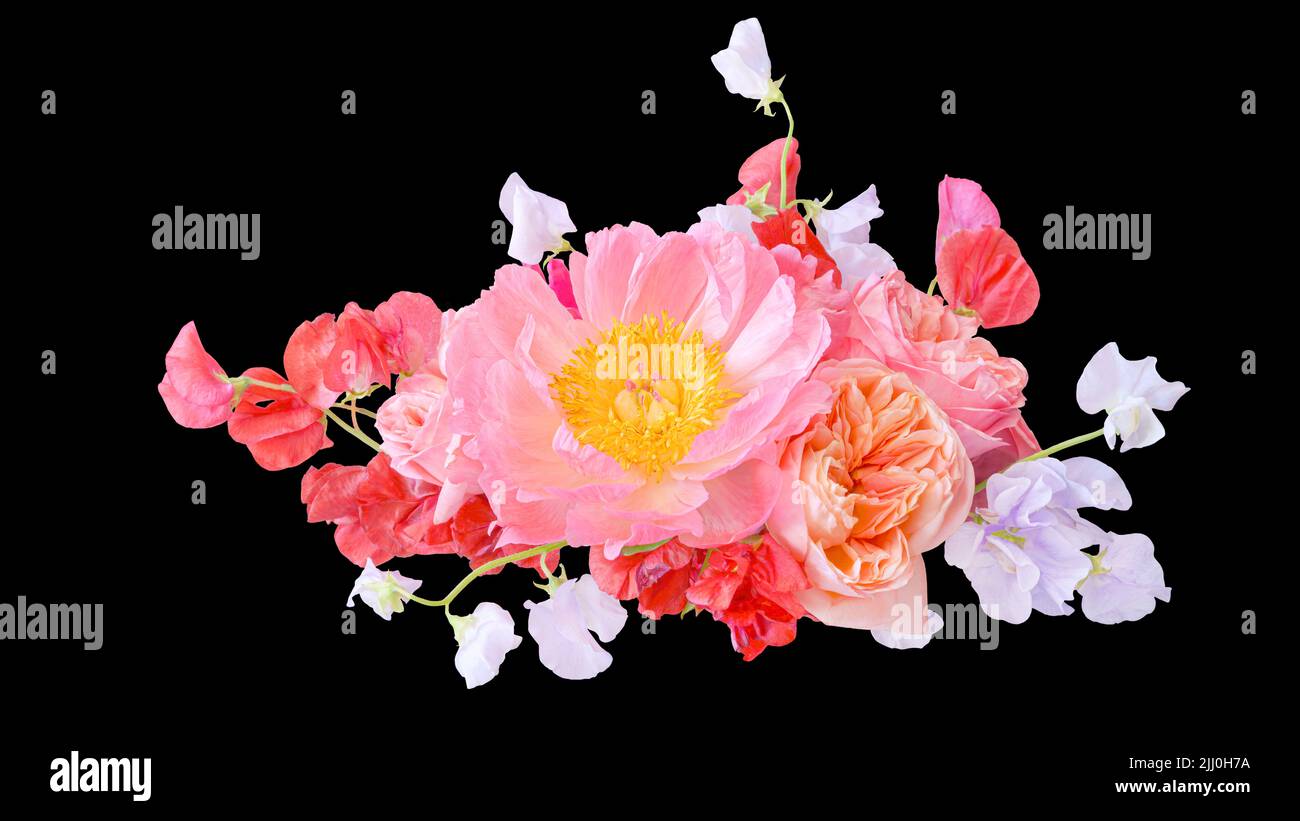 Bouquet de pivoines roses et roses closeup isolé sur fond noir Banque D'Images