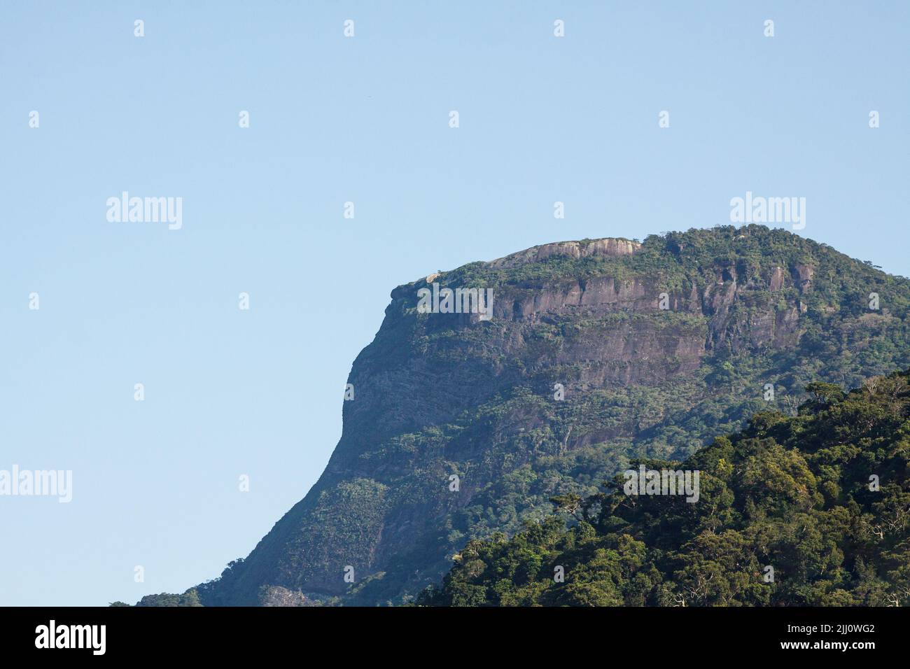 Magnifiques détails en pierre à Rio de Janeiro. Banque D'Images