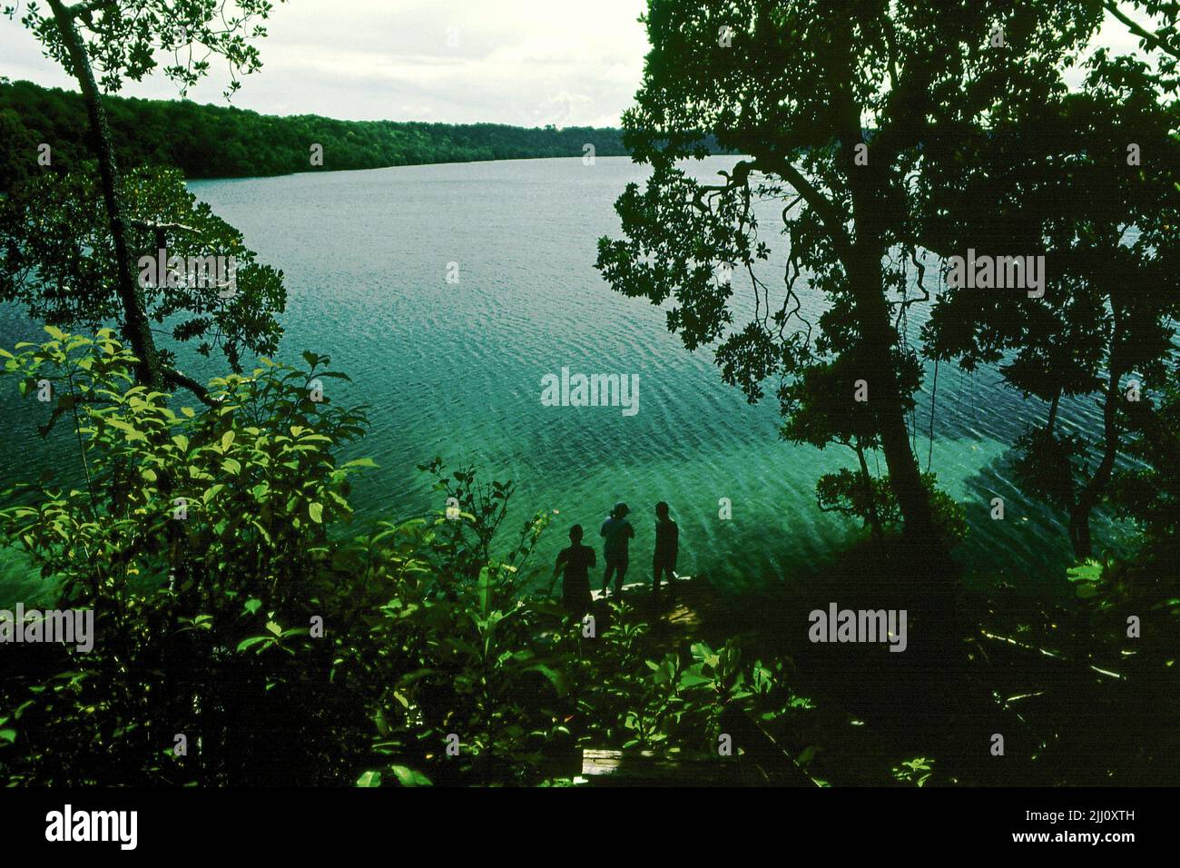 Visiteurs se trouvant sur une jetée sur le côté du lac Kakaban, connu pour son méduse sans piquant et situé sur l'île Kakaban dans la zone marine protégée de Berau dans les îles Derawan, Berau, Kalimantan oriental, Indonésie. Banque D'Images