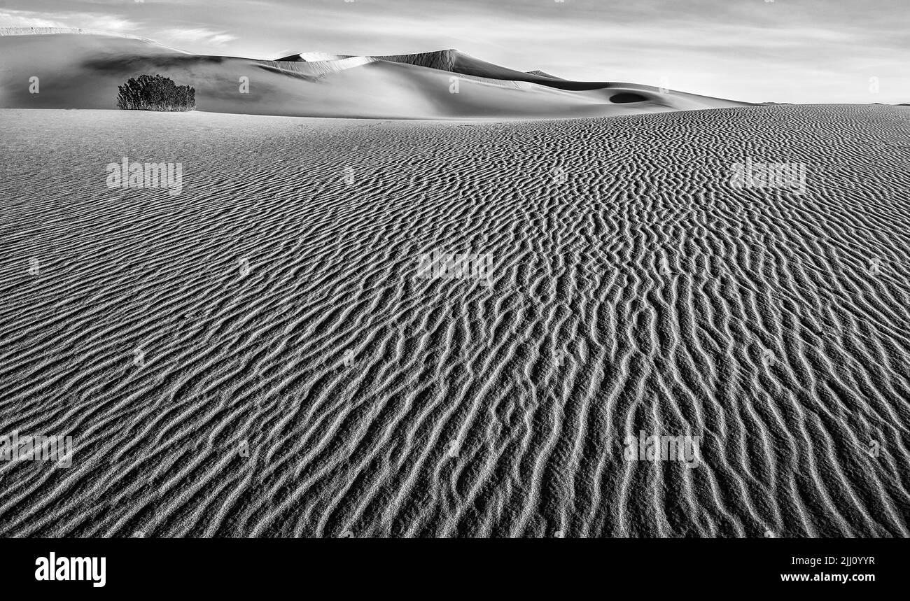 Sable du désert, dunes de sable et ondulations dans le sable, Banque D'Images