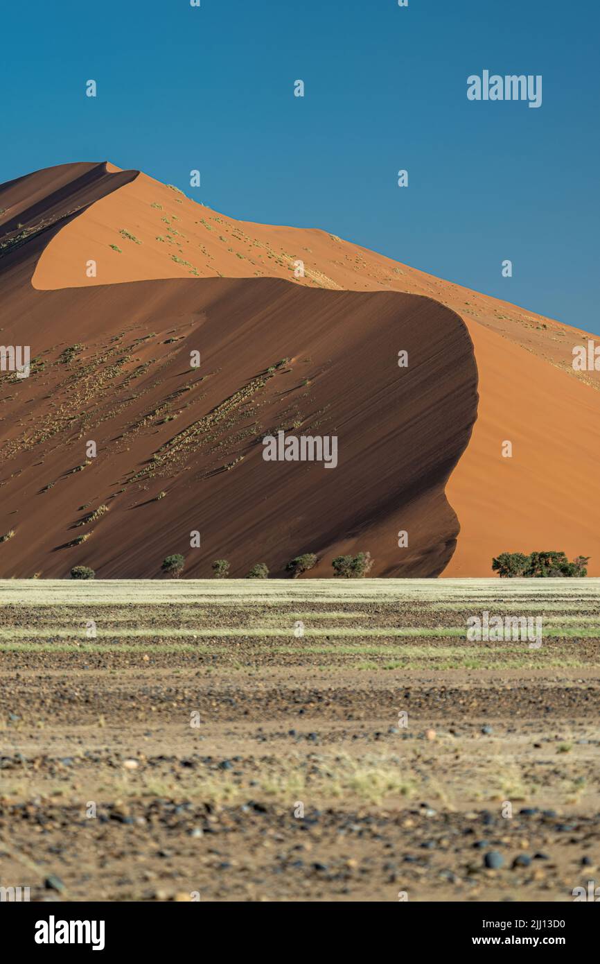 Une dune dans le désert du Namib, sur le chemin de Sossusvlei. Banque D'Images