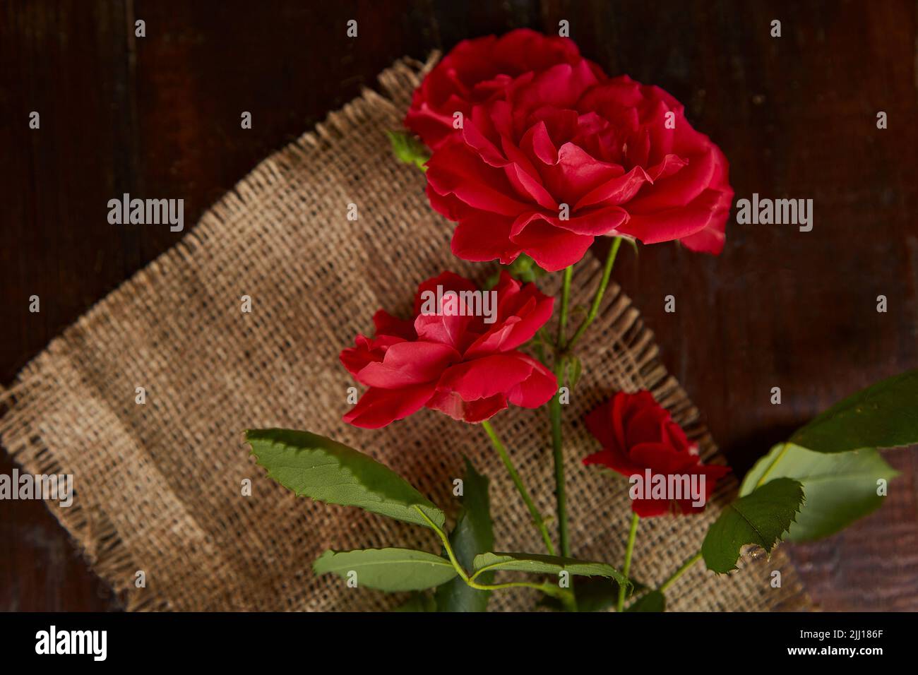 Carte de bienvenue avec rose Banque de photographies et d’images à ...