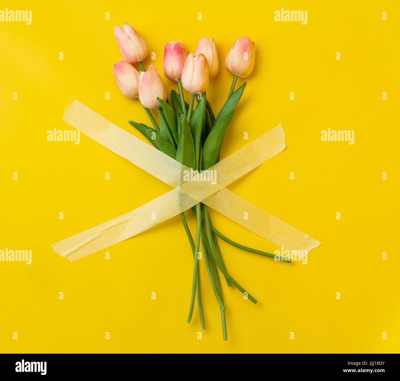 Tulipes collés avec du ruban de masquage Banque D'Images