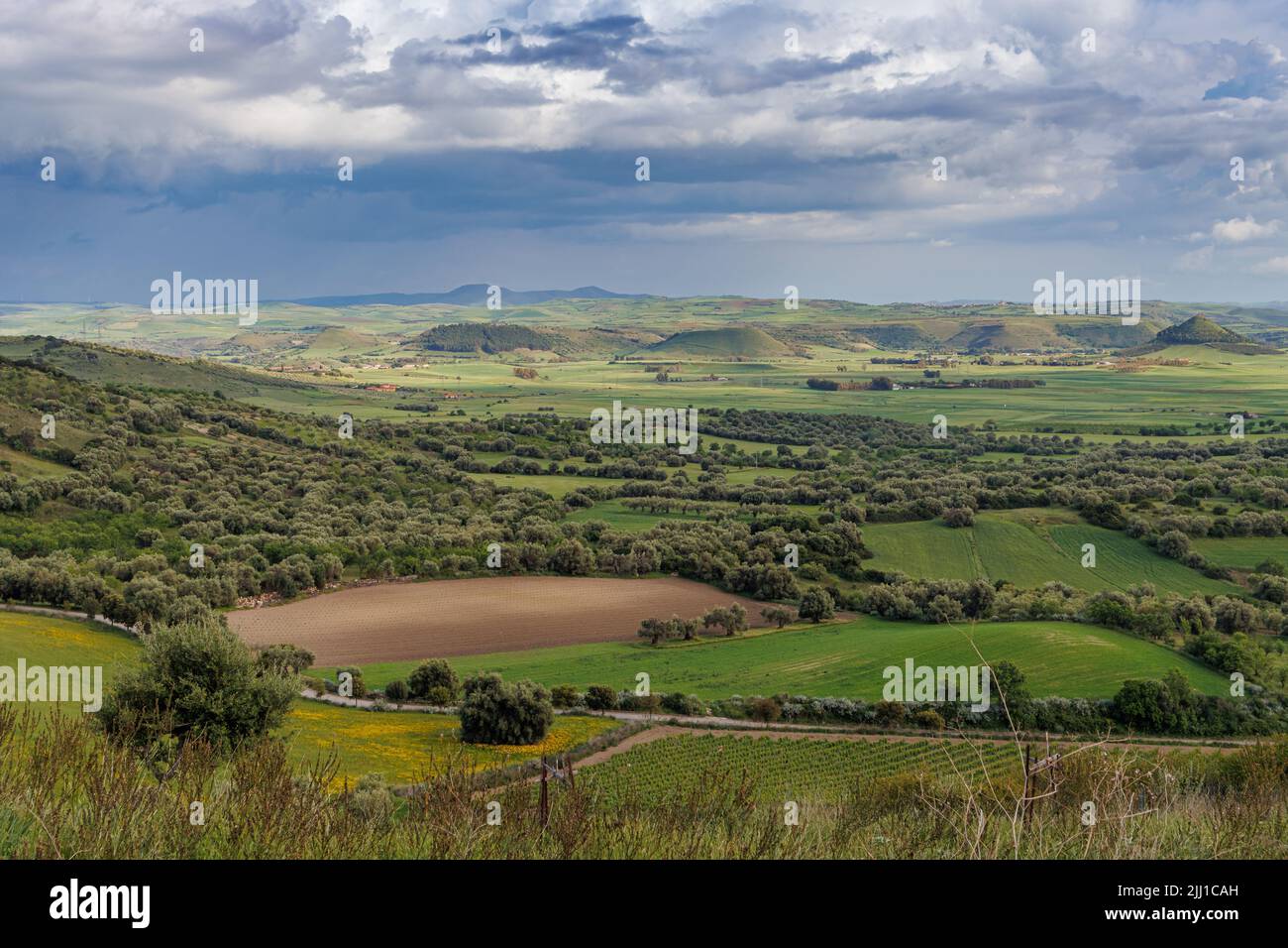 Dans la réserve naturelle de Parco della Giara sur l'île de Sardaigne, Italie Banque D'Images