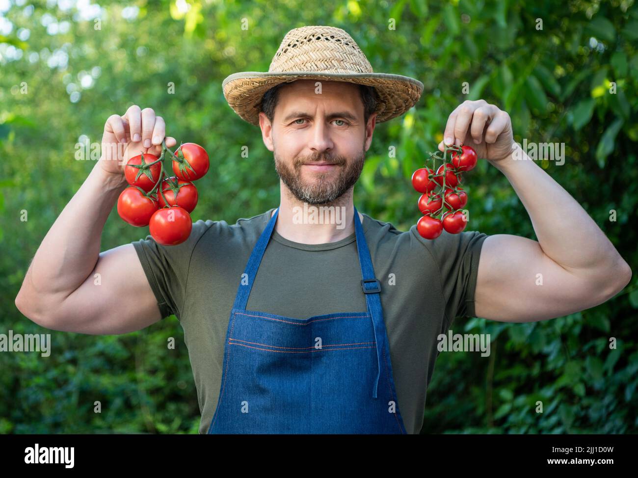 homme greengrocer dans un chapeau de paille avec un bouquet de tomates Banque D'Images