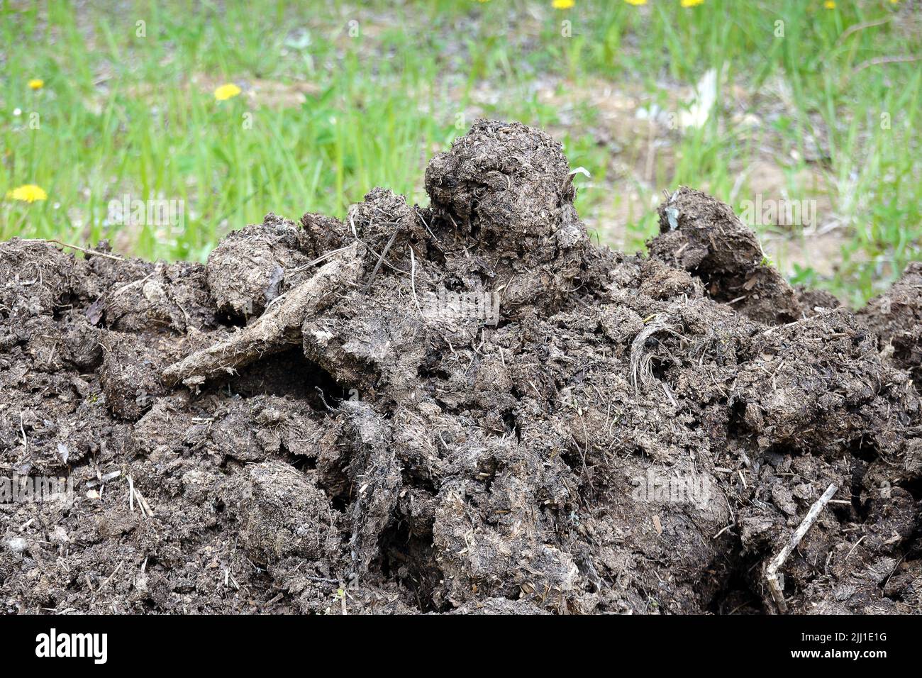 Une pile de fumier sur un fond d'herbe verte vue avant Banque D'Images