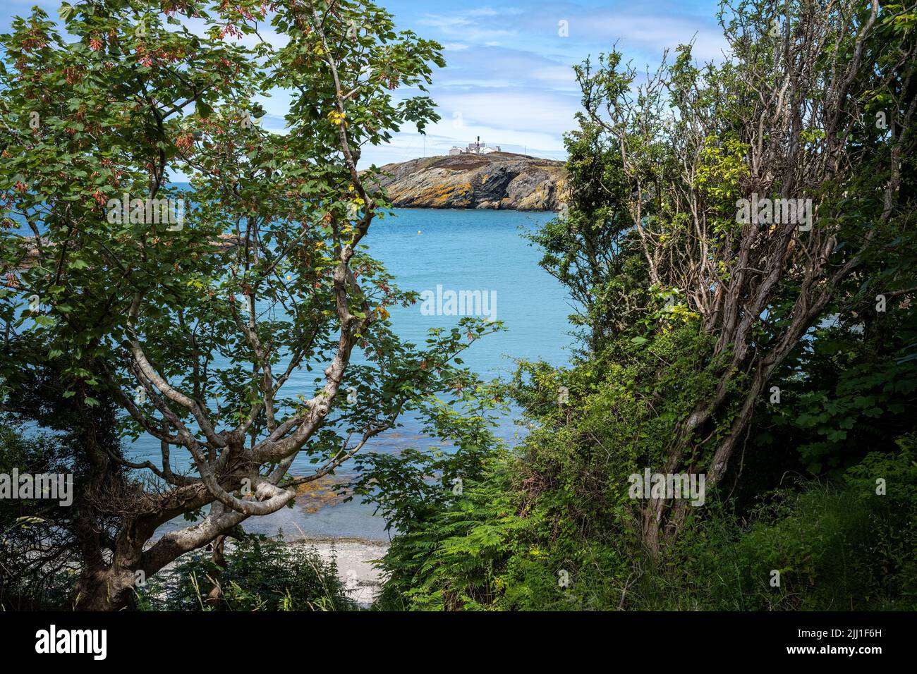 Le phare historique de point Lynas entouré d'arbres au-dessus de la plage de Porth Eilian, Anglesey, pays de Galles Banque D'Images
