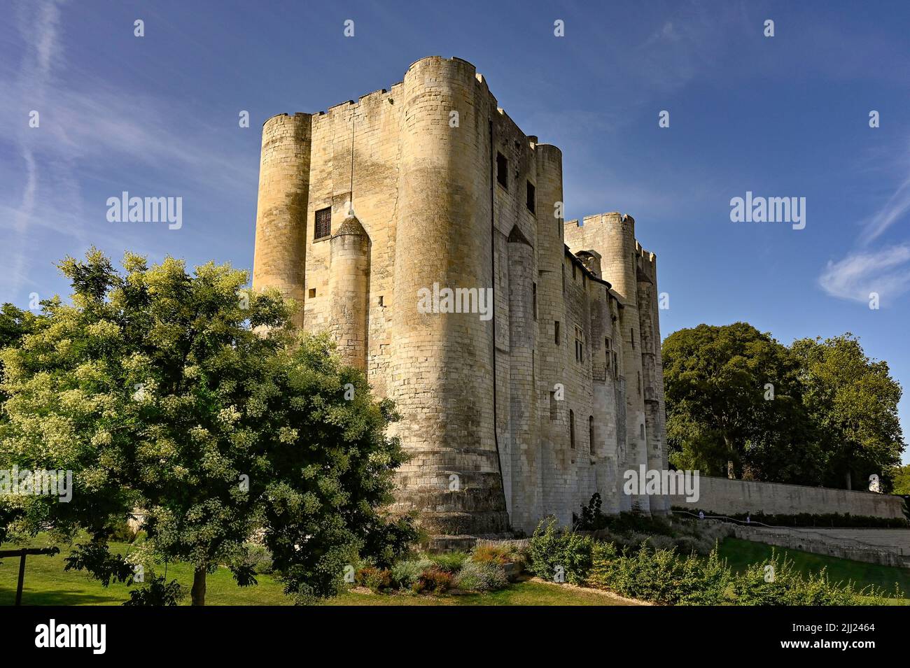 Le Donjon de Niort, dernière relique de l'ancien château de la ville et aujourd'hui site du musée de la ville, avec un toit-terrasse offrant une vue fantastique; France, Banque D'Images