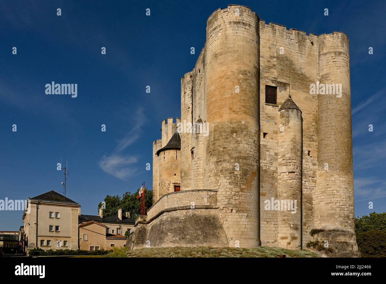 Le Donjon de Niort, dernière relique de l'ancien château de la ville et aujourd'hui site du musée de la ville, avec un toit-terrasse offrant une vue fantastique; France, Banque D'Images