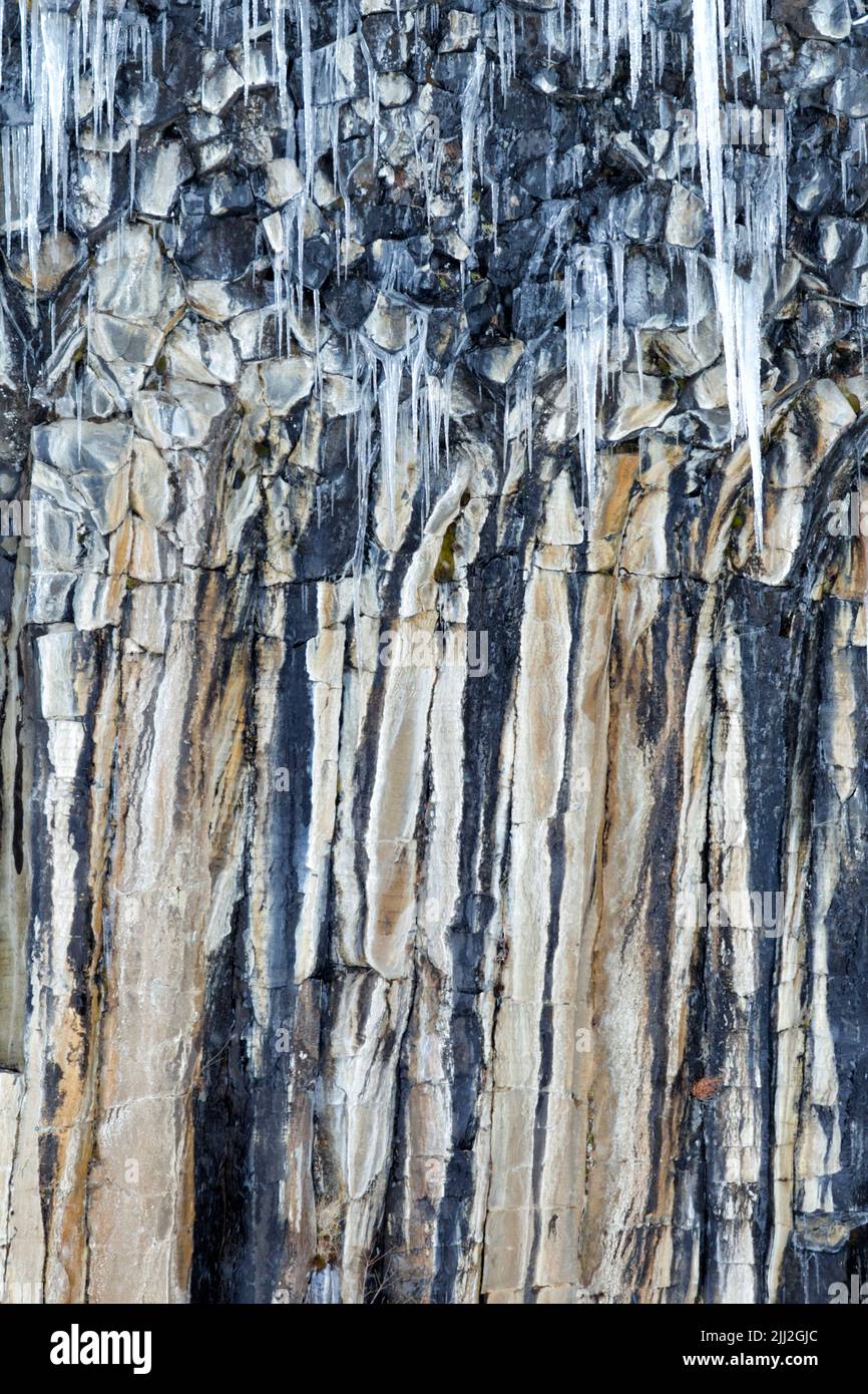 Les glaçons se forment à partir de la pulvérisation de Svartifoss, Islande. Une fine cascade de 20m au centre d'un mur spectaculaire de 3D colonnes de basalte hexagonales. Banque D'Images