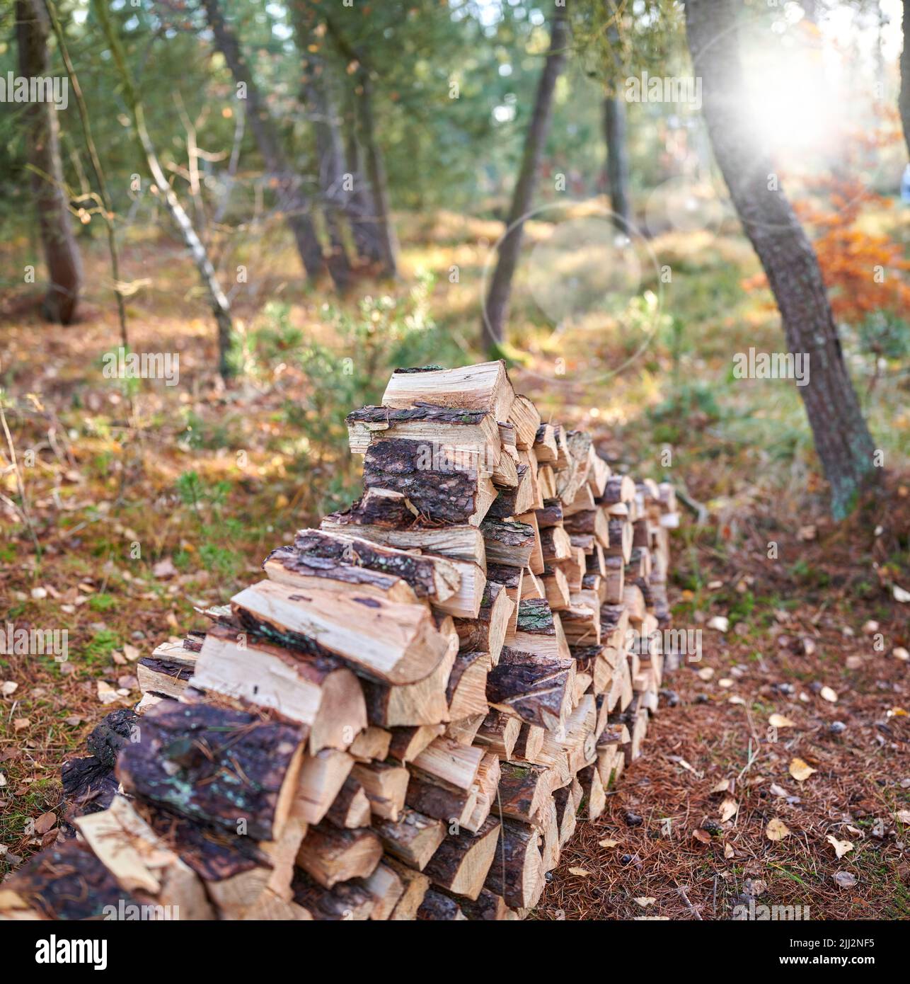 Préparation de bois de chauffage pour l