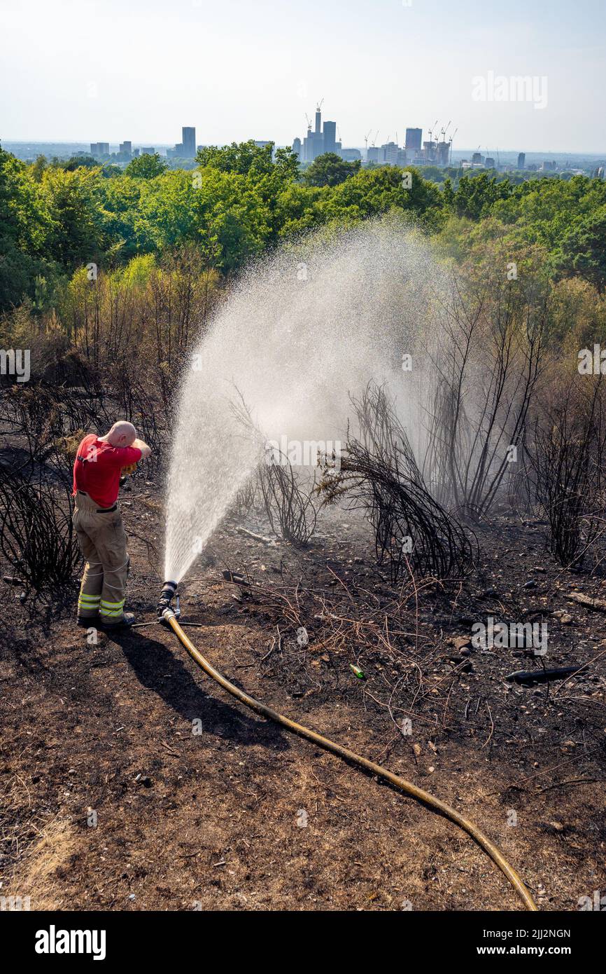 Une série de feux de forêt éclate à travers l'Angleterre alors que la vague de chaleur intense atteint des niveaux records. Les pompiers ont été appelés juste après midi pour assister à un incendie dans les bois de Shirley Hills Woods, l'un des plus grands parcs de Londres à Croydon. Bien que personne n'ait été blessé, il a exigé quatre pompiers et plus de 25 pompiers pour maîtriser l'incendie. Banque D'Images
