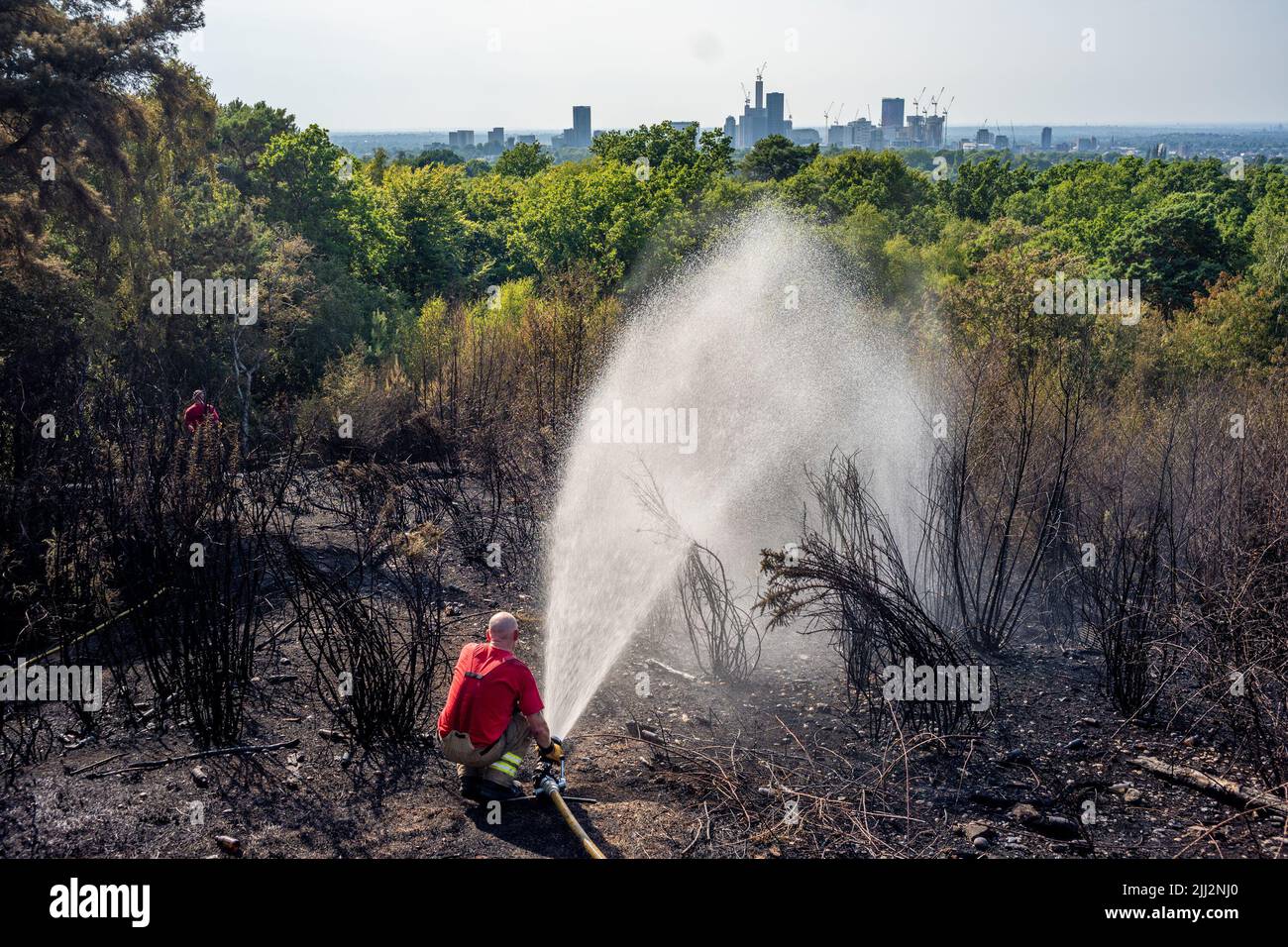 Une série de feux de forêt éclate à travers l'Angleterre alors que la vague de chaleur intense atteint des niveaux records. Les pompiers ont été appelés juste après midi pour assister à un incendie dans les bois de Shirley Hills Woods, l'un des plus grands parcs de Londres à Croydon. Bien que personne n'ait été blessé, il a exigé quatre pompiers et plus de 25 pompiers pour maîtriser l'incendie. Banque D'Images