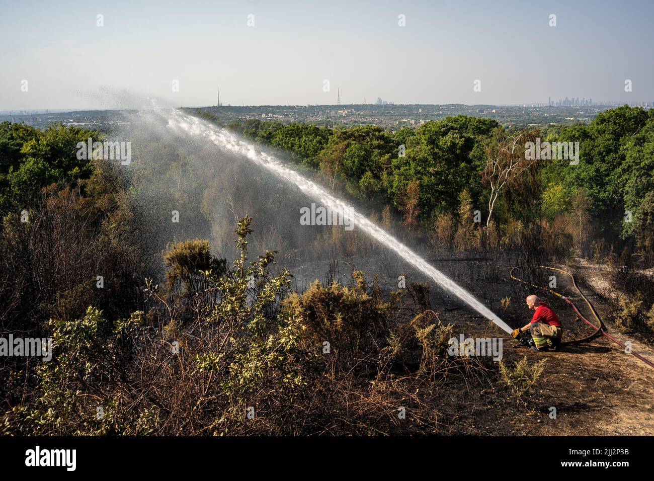 Une série de feux de forêt éclate à travers l'Angleterre alors que la vague de chaleur intense atteint des niveaux records. Les pompiers ont été appelés juste après midi pour assister à un incendie dans les bois de Shirley Hills Woods, l'un des plus grands parcs de Londres à Croydon. Bien que personne n'ait été blessé, il a exigé quatre pompiers et plus de 25 pompiers pour maîtriser l'incendie. Banque D'Images