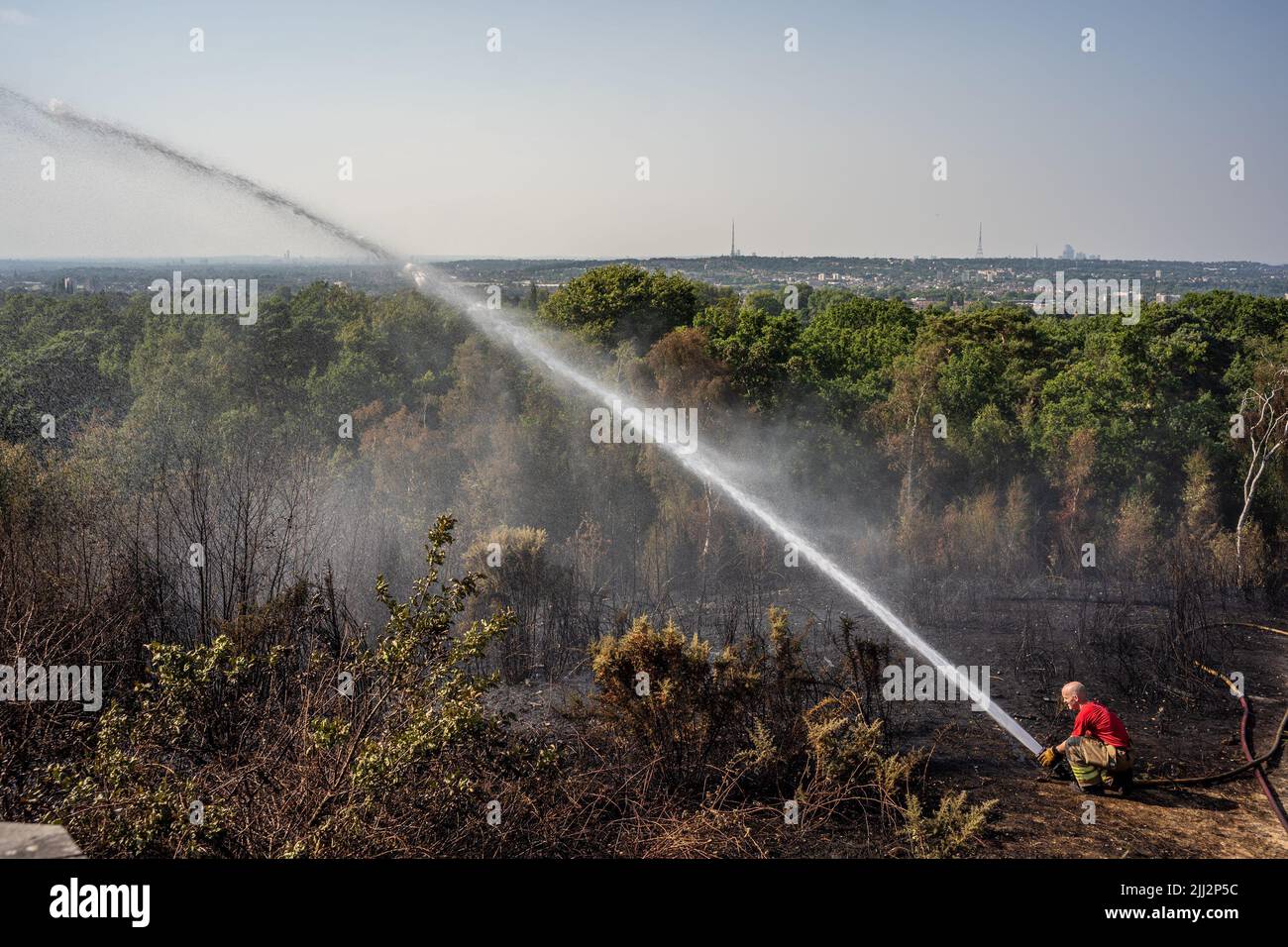 Une série de feux de forêt éclate à travers l'Angleterre alors que la vague de chaleur intense atteint des niveaux records. Les pompiers ont été appelés juste après midi pour assister à un incendie dans les bois de Shirley Hills Woods, l'un des plus grands parcs de Londres à Croydon. Bien que personne n'ait été blessé, il a exigé quatre pompiers et plus de 25 pompiers pour maîtriser l'incendie. Banque D'Images