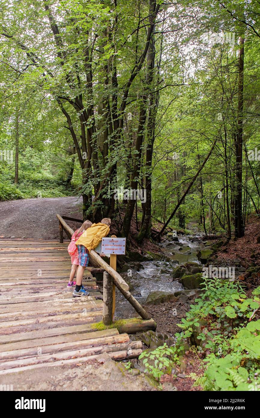 Enfants, frère et sœur regardant un pont en bois vers une rivière fluviale pendant une randonnée en famille. Aucune face visible. Mignon, caucasien, montagnes, forêt Banque D'Images