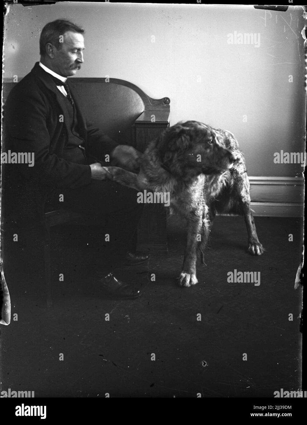 'Björn' mort 15/1 1917, un homme et un chien, 14/1 1917 Banque D'Images 'Björn' mort 15/1 1917, un homme et un chien, 14/1 1917 Banque D'Images