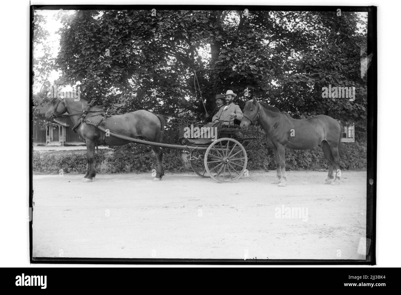 Deux personnes, deux chevaux et un concert Kvarnström Banque D'Images Deux personnes, deux chevaux et un concert Kvarnström Banque D'Images