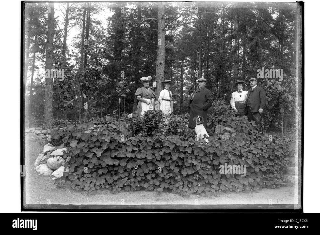 Photos de villa d'été, photo de plein air, 5 personnes et un chien. ProfINE Anton Hahn, Engelbrektsgatan 64, Örebro. Banque D'Images