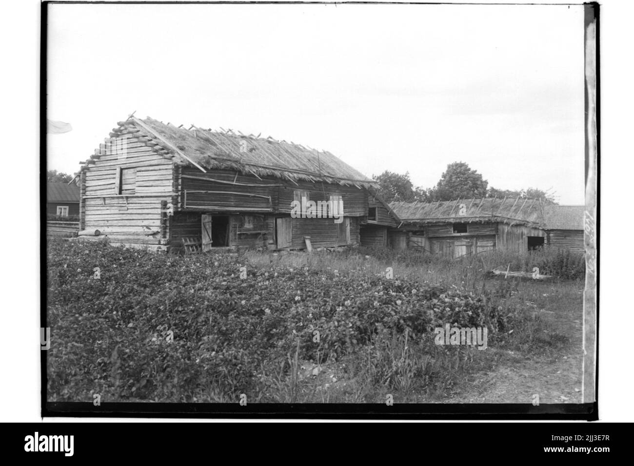 Bâtiment noué à colombages avec déglutition, vase. Banque D'Images