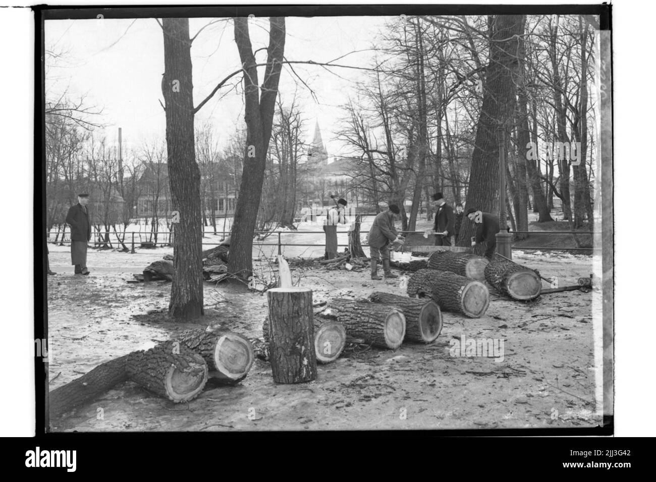 Parc du château, arbre soufflé à la litière, 5 hommes ont coupé l'arbre. Banque D'Images