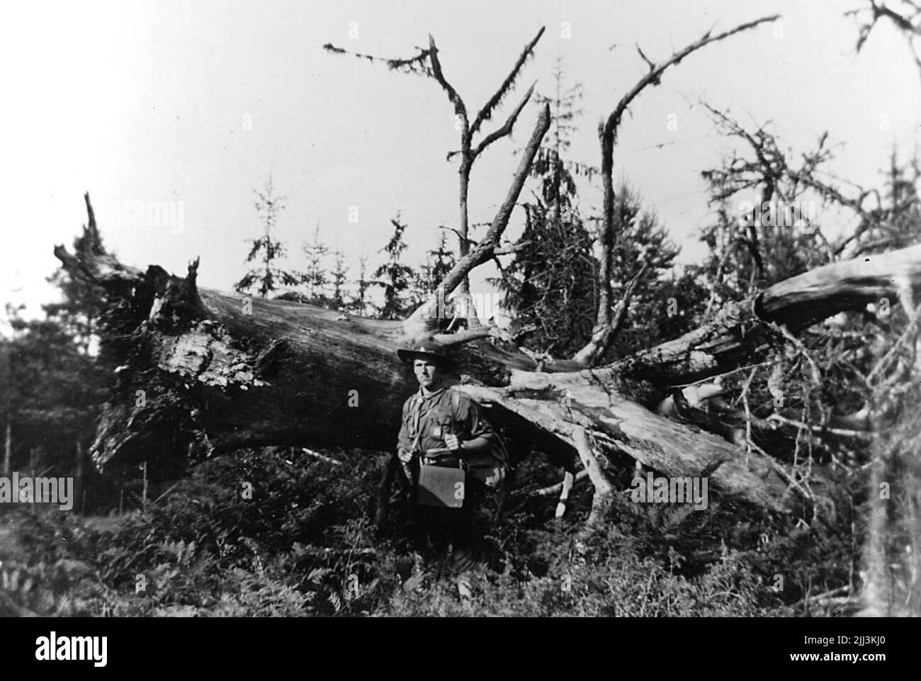 Le sauna épicéa (le magicien) à Ekemon, un homme.gunnar Runvik Banque D'Images