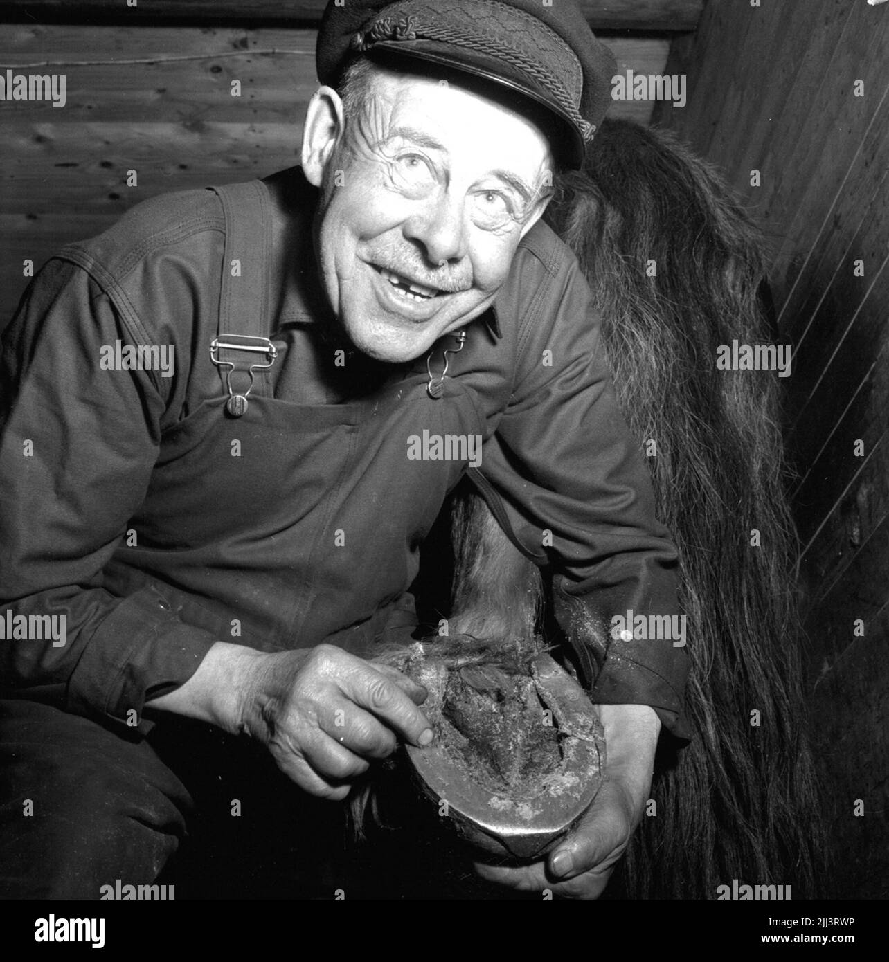 Horsesho-Man. Maj 1956. Banque D'Images