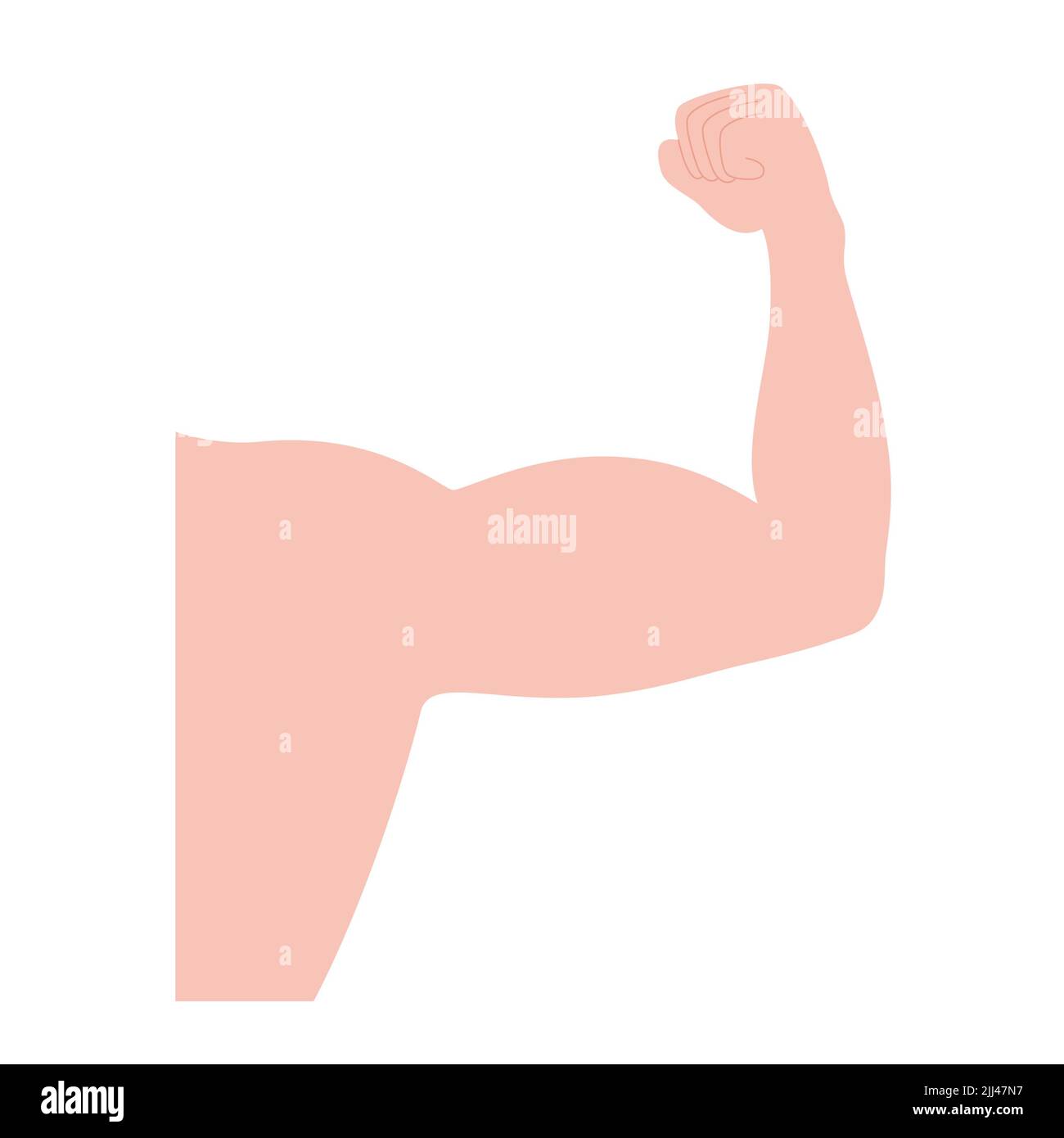 Bras musculaire, illustration. Banque D'Images