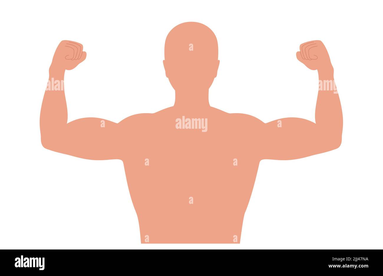 Bras musculaire, illustration. Banque D'Images