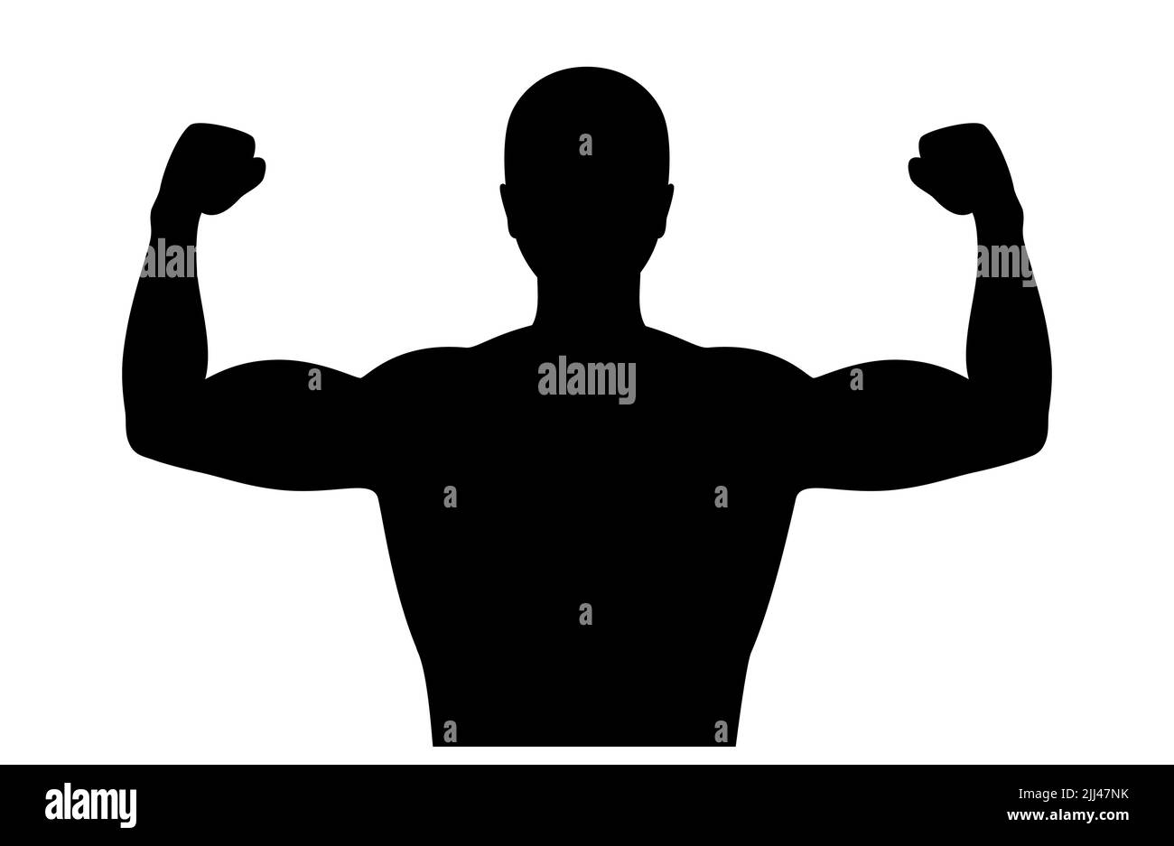 Bras musculaire, illustration. Banque D'Images