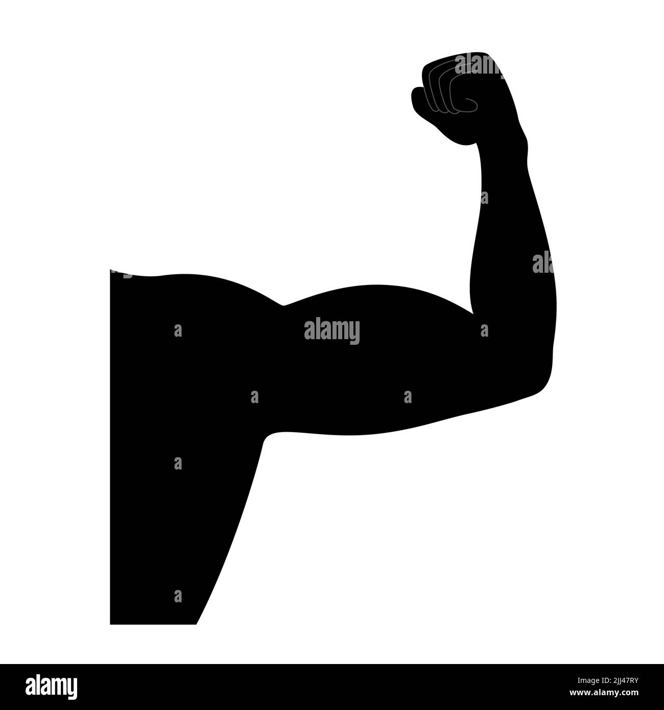 Bras musculaire, illustration. Banque D'Images