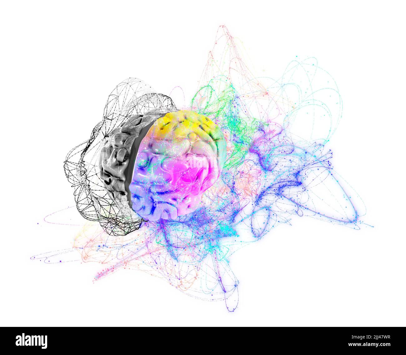 Illustration d'un cerveau humain avec les hémisphères gauche et droit. Banque D'Images