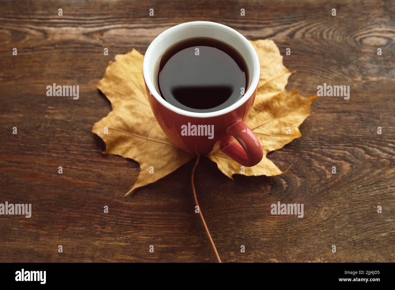 concept de boisson chaude de fond de feuille d'érable d'automne Banque D'Images