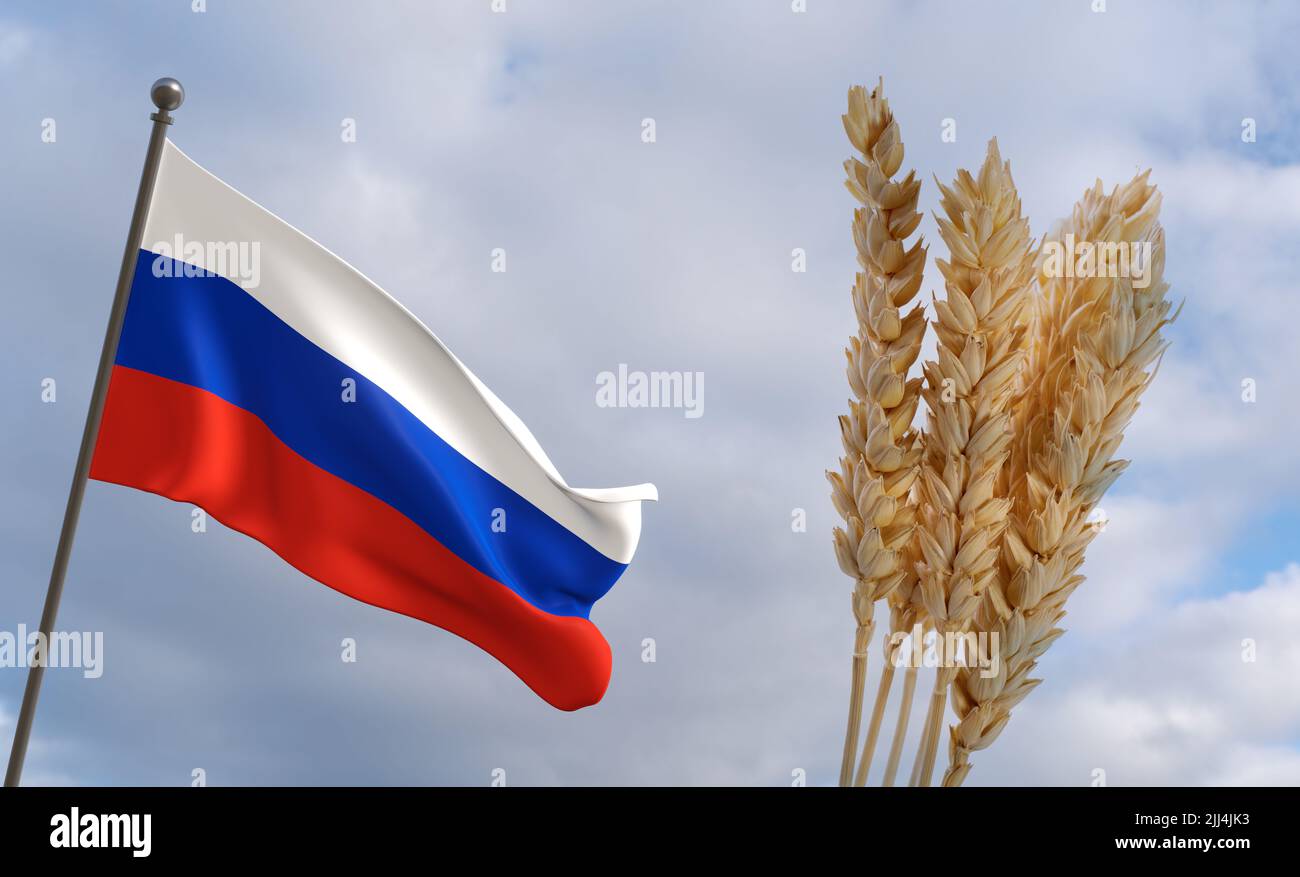 Russie crise des céréales, concept crise mondiale de la faim, crise alimentaire mondiale, en arrière-plan drapeau de la Russie grain de blé. Concept de culture du blé en Russie, 3D W. Banque D'Images