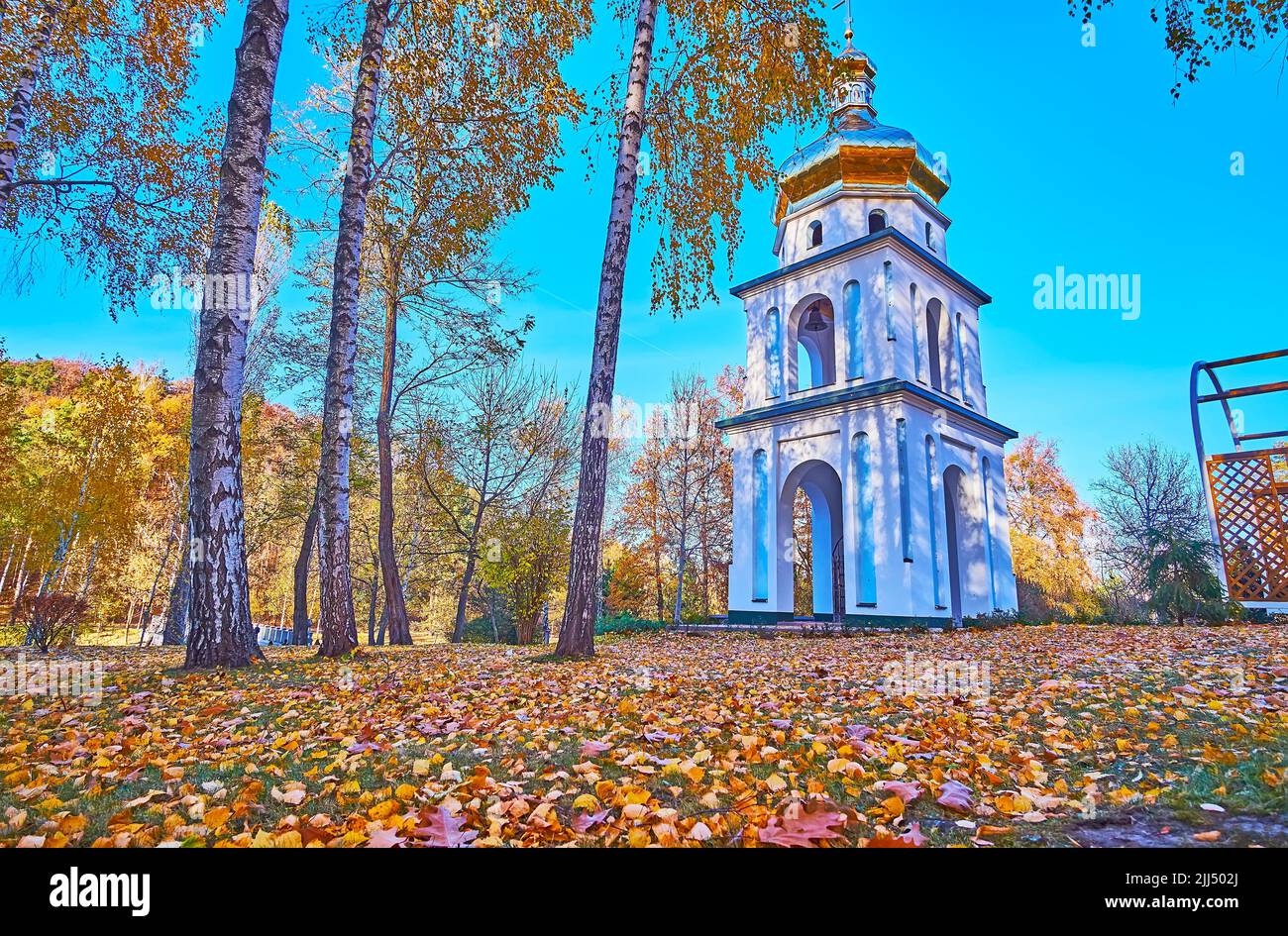 Belfrite du Monastère Sauveur-Transfiguration de Mezhyhirya et bosquet de bouleau d'automne, Ukraine Banque D'Images