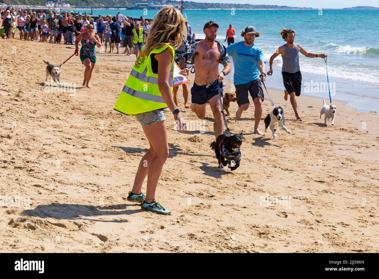 Branksome Dene Chine, Poole, Dorset, Royaume-Uni. 23rd juillet 2022. Le festival britannique des maîtres-chiens des championnats de surf, organisé par Shaka Surf, a lieu sur la plage Branksome Dene Chine. Le seul concours de surf pour canines de Britains, maintenant dans sa quatrième année, est plus grand que jamais, avec 30 concurrents canins inscrits pour une course de paddleboard à rythme rapide, ainsi que le concours de déguisement de looklookFancy de propriétaire de chien, Mutts Market, Paw Inn Beach bar, spectacle de chiens, nourriture et plus, avec des concerts en soirée. Crédit : Carolyn Jenkins/Alay Live News Banque D'Images