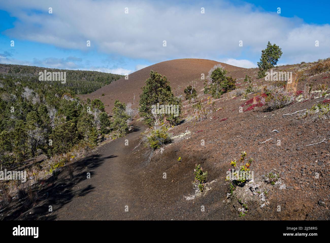 cône de cinder pu'u pua'i le long du sentier de la corniche au parc national des volcans d'hawaï Banque D'Images