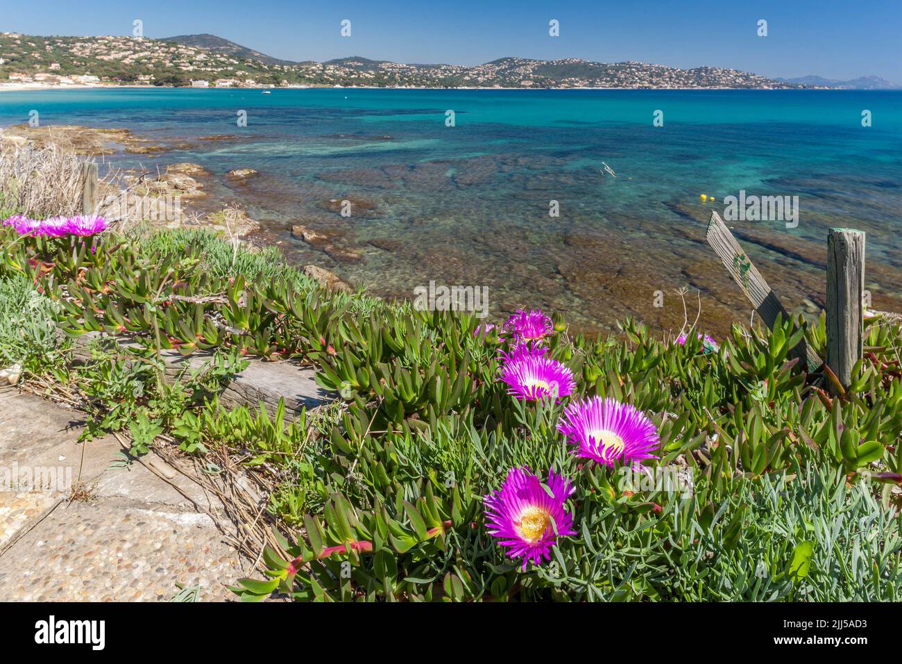 France, Var (83) Sainte-Maxime, la Nartelle Banque D'Images