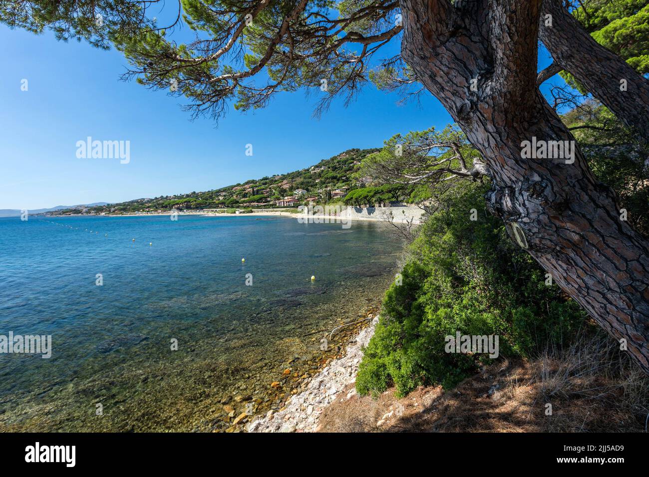 France, Var (83) Sainte-Maxime, plage de Madrague Banque D'Images